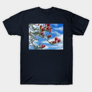 My 5 cents to the Spring theme on RB T-Shirt